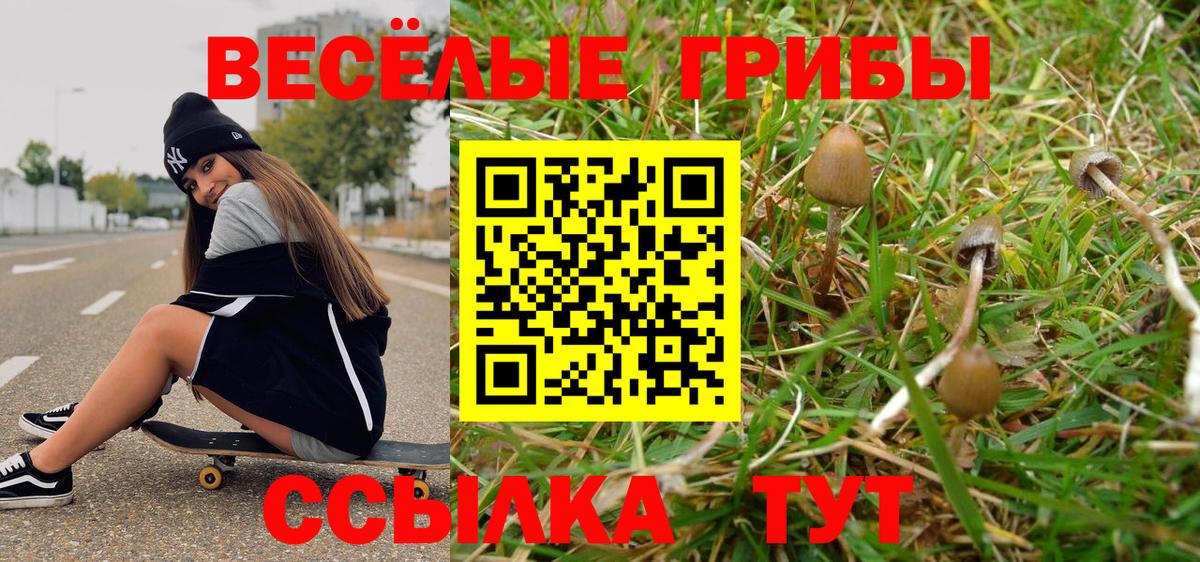 Вольск  Псилоцибиновые грибы Psilocybine cubensis  Вход с VPN  Псилоцибиновые грибы мицелий 