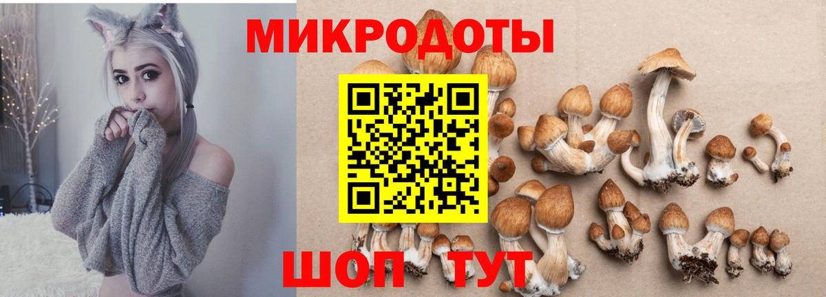 Галлюциногенные грибы ЛСД Вольск